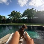 Elsa Dasc Instagram – Ariel, bienvenue chez toi 🐚🤎
La gardienne de notre bonheur 🐾🏡