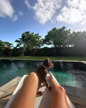Elsa Dasc Instagram - Ariel, bienvenue chez toi 🐚🤎
La gardienne de notre bonheur 🐾🏡