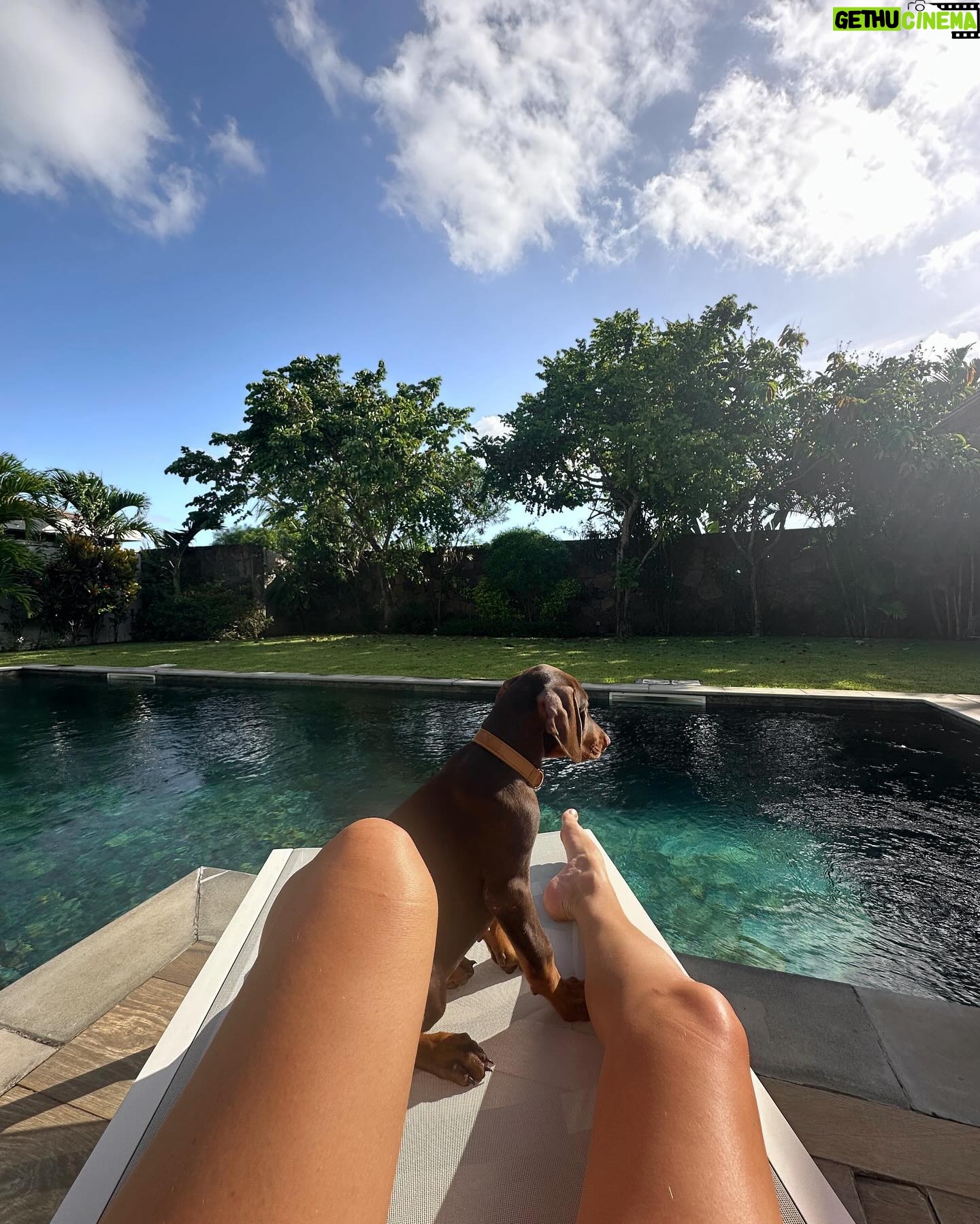 Elsa Dasc - 35.1K Likes - Ariel, bienvenue chez toi 🐚🤎
La gardienne de notre bonheur 🐾🏡