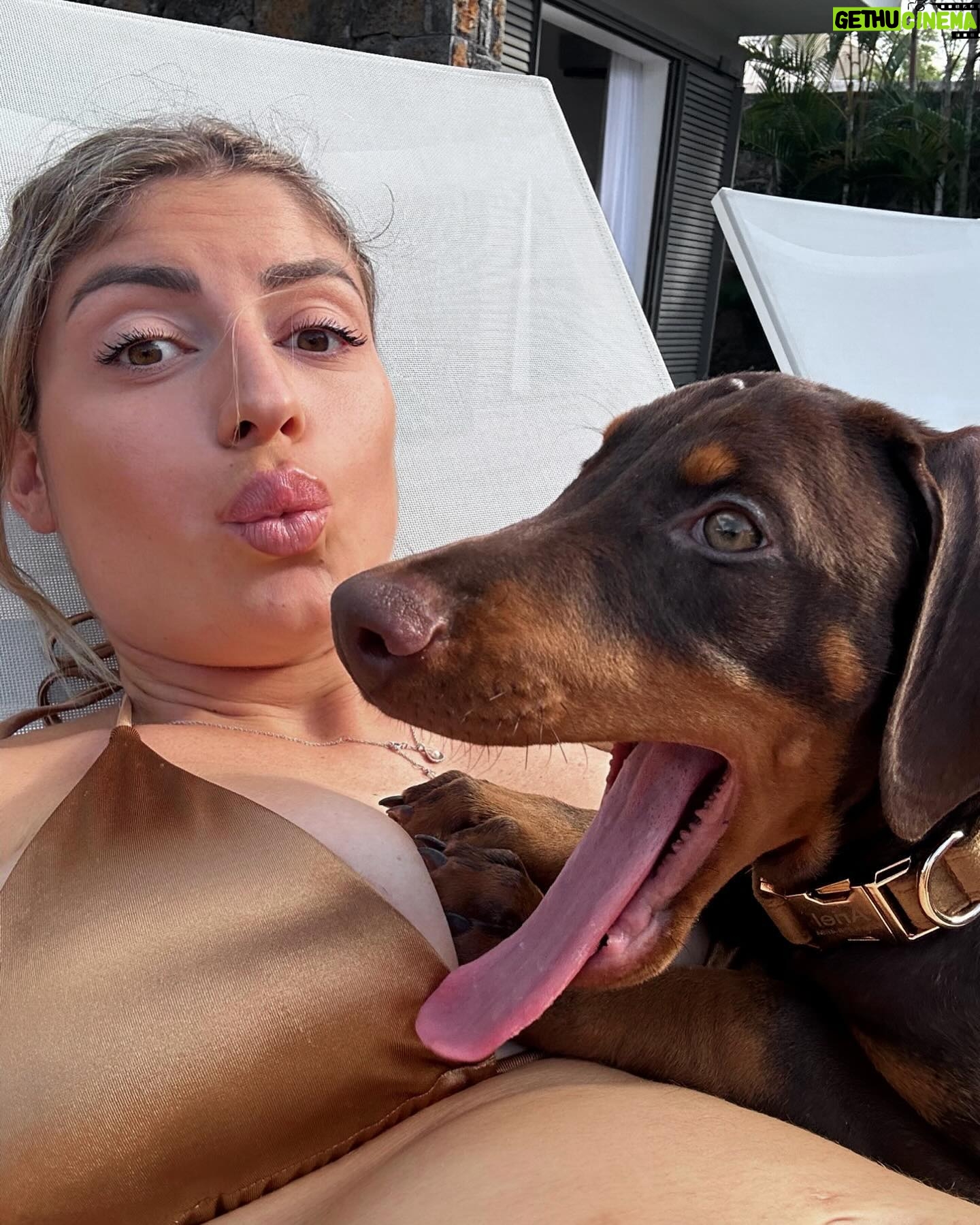Elsa Dasc - 35.1K Likes - Ariel, bienvenue chez toi 🐚🤎
La gardienne de notre bonheur 🐾🏡