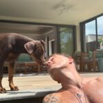 Elsa Dasc Instagram – Home sweet home ♡ la dernière vidéo 🥹🌅
#happywifehappylife
partenariat commerciale