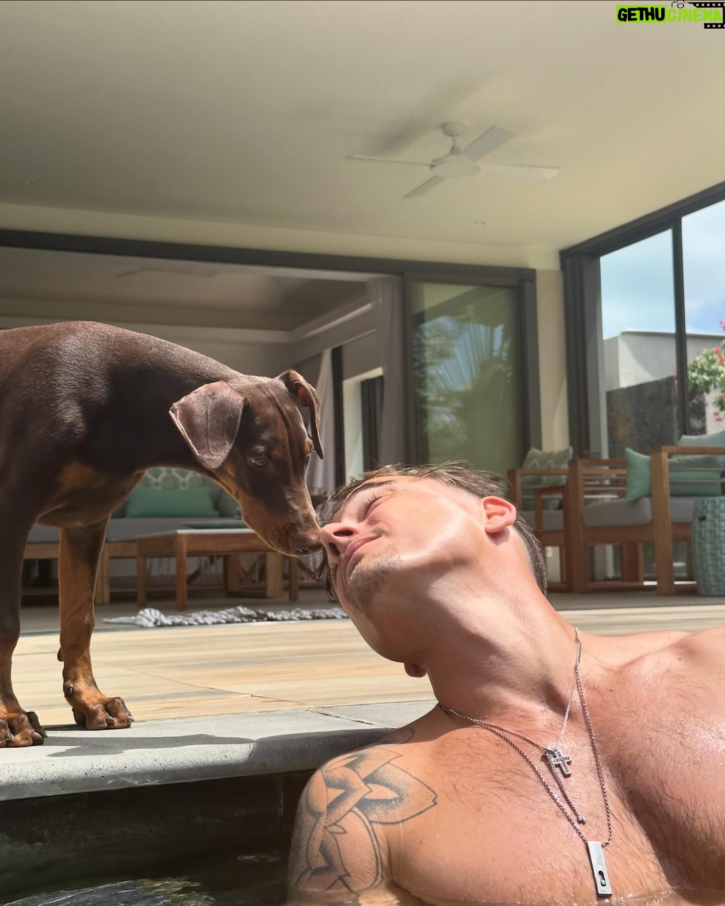 Elsa Dasc - 28K Likes - Home sweet home ♡ la dernière vidéo 🥹🌅
#happywifehappylife
partenariat commerciale