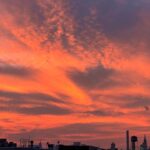 Elsie Hewitt Instagram – alexa play Rooftops by wiz khalifa LOL
