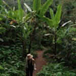 Elvin Levinler Instagram – green therapy #bali 🌴🌱🌿☘️🌴 
#elviniminbali