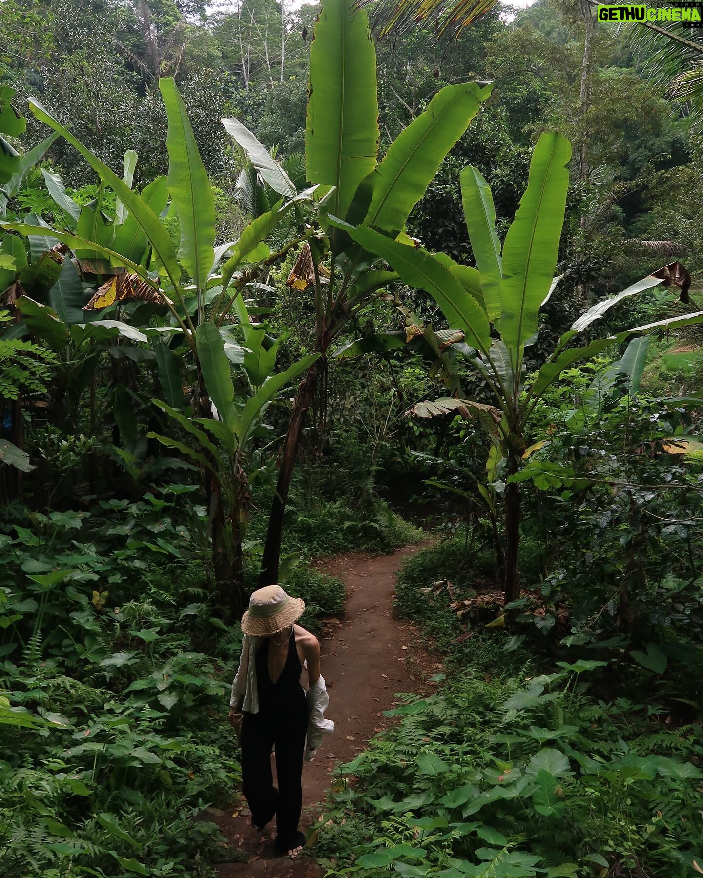 Elvin Levinler Instagram - green therapy #bali 🌴🌱🌿☘️🌴 #elviniminbali