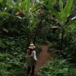 Elvin Levinler Instagram – green therapy #bali 🌴🌱🌿☘️🌴
#elviniminbali