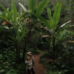 Elvin Levinler Instagram – green therapy #bali 🌴🌱🌿☘️🌴
#elviniminbali
