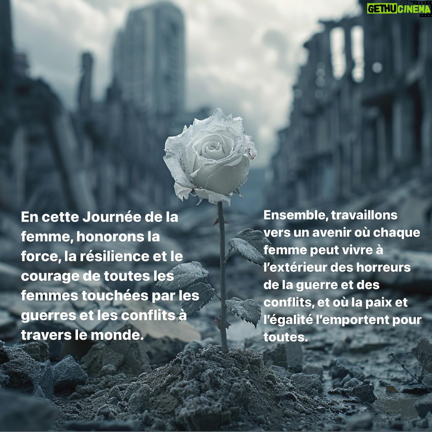 Eman El Assi Instagram - On this Women’s Day, let us honor the strength, resilience, and courage of all the women impacted by wars and conflicts around the world. Your endurance in the face of adversity, your unwavering determination for peace, and your boundless compassion for those in need inspire us all. Your voices matter, your stories matter, and your contributions to building a better world are invaluable. Today, we stand in solidarity with you, recognizing the unique challenges you face and advocating for your rights, safety, and well-being. Together, let us work towards a future where every woman can live free from the horrors of war and conflict, and where peace and equality prevail for all. #iwd24