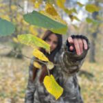 Emel Dede Instagram - 🍂🍁