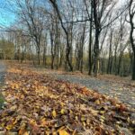 Emel Dede Instagram - 🍂🍁