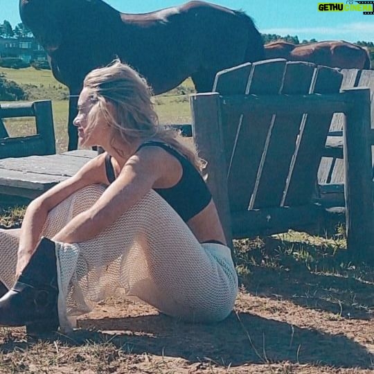 Emilia Attías Instagram - Despedir el año de esta manera..... Pocxs saben del amor que tengo por los caballos. Solo que de ninguna manera me siento identificada relacionandome con ellos bajo maneras de sometimiento o que les causen dolor. Lo más maravilloso que tienen es su espíritu libre. Solo quiero dejarme empapar por esa naturaleza, y bailar a su ritmo. Con el mayor desprendimiento posible. Con el mayor respeto. Con la mayor admiración. Con la misma entrega. Con el corazón en la mano, y la confianza suelta. Somos seres muy sensibles, ambos.... confiemos en otra manera de relacionarnos con los animales. Honremoslos. Son parte de todo, e igual de importantes que nosotrxs. Y no subestimemos su sensibilidad. Y mucho menos su inteligencia. Gracias inmensas @alfonsinamaldonado la admiración e inspiración que me generás no tienen forma ni tamaño. Sos grandiosa y poderosa, mujer. Muy. Gracias por este rato de confianza y entrega con tus fieles compañeros. Gracias Mora por nadar conmigo en las aguas y dejarme llevar por tu fuerza y la pureza de tu espíritu salvaje. Me derrite tu nobleza. Despidan este año con mucha energía y agradecimiento por todo. Hasta las piedras en el camino (o las propias) nos vienen a iluminar y hacernos evolucionar. Con amor, Emi. ❤️