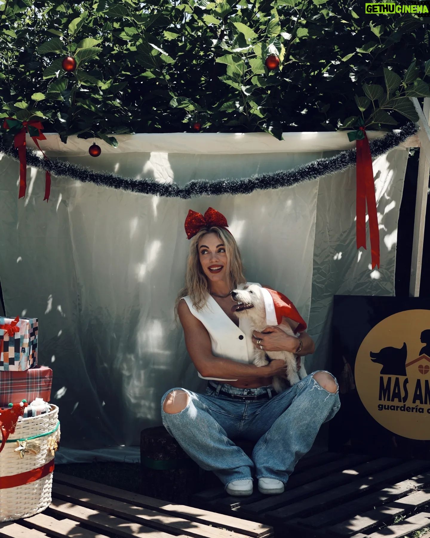 Emilia Attías Instagram - Feliz Navidad desde este rincón de amor @guarderiacaninaa Ellas son Cami, Lola y las maravillosas personas que las acompañan, movilizadas por el amor, la empatía y la dedicación más comprometida con estos seres. Nunca me había pasado, de sentirme tan tranquila dejando mis animales al cuidado de otras personas. Son pura luz, y real, real amor y compromiso para con ellos. Son inspiración. Gracias eternas por cuidar y amar tanto a mis perras cada vez que lo necesito. Ellas también, rescatan y transitan perro/as que luego albergan hasta que encuentren sus nuevas familias. Pueden entrar en su cuenta, y ver los que actualmente están en adopción. Les deseamos una hermosa noche, Perla, Oli, Cami, Lola y yo ❤️