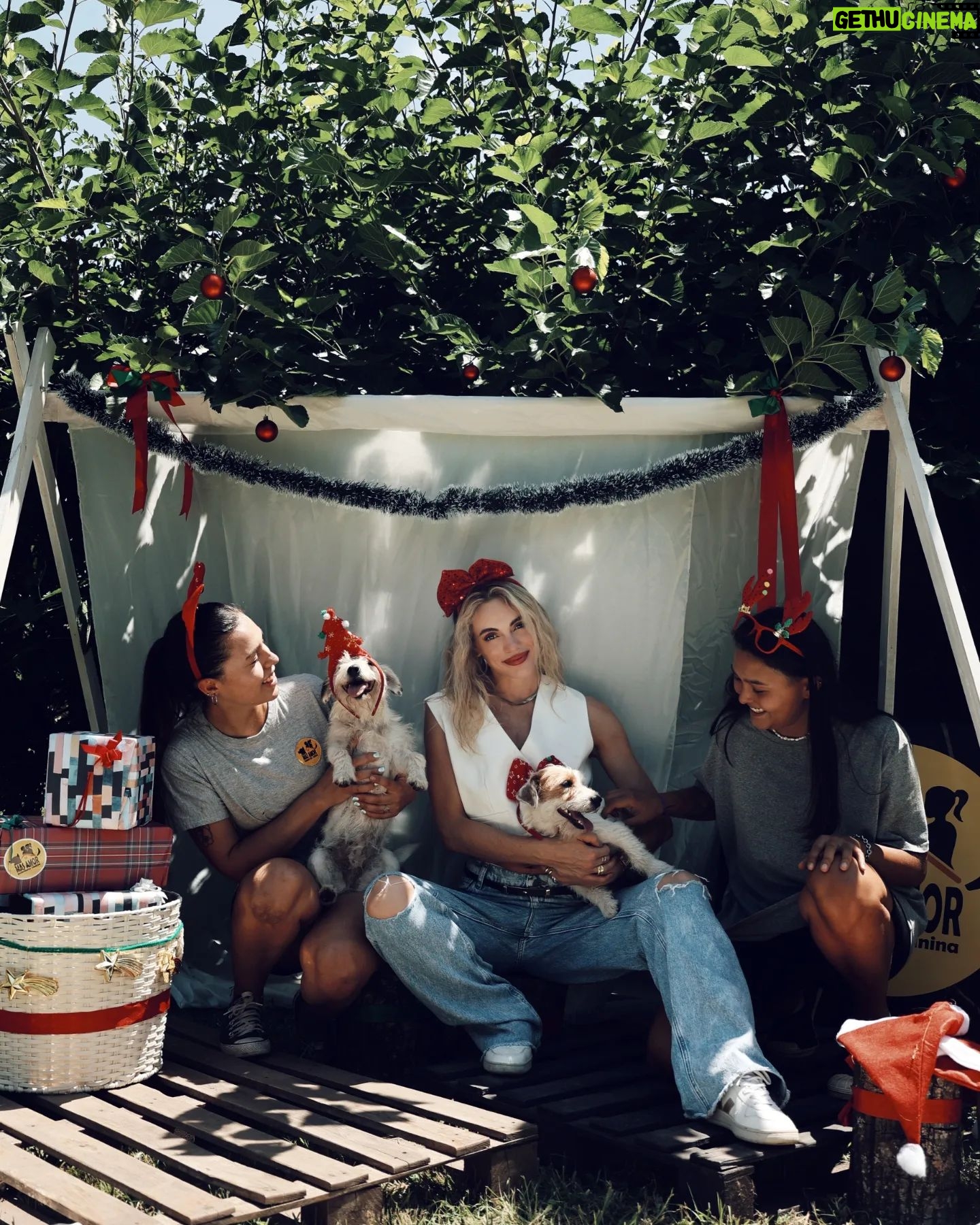Emilia Attías Instagram - Feliz Navidad desde este rincón de amor @guarderiacaninaa Ellas son Cami, Lola y las maravillosas personas que las acompañan, movilizadas por el amor, la empatía y la dedicación más comprometida con estos seres. Nunca me había pasado, de sentirme tan tranquila dejando mis animales al cuidado de otras personas. Son pura luz, y real, real amor y compromiso para con ellos. Son inspiración. Gracias eternas por cuidar y amar tanto a mis perras cada vez que lo necesito. Ellas también, rescatan y transitan perro/as que luego albergan hasta que encuentren sus nuevas familias. Pueden entrar en su cuenta, y ver los que actualmente están en adopción. Les deseamos una hermosa noche, Perla, Oli, Cami, Lola y yo ❤️