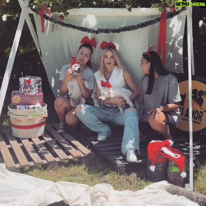 Emilia Attías Instagram - Feliz Navidad desde este rincón de amor @guarderiacaninaa Ellas son Cami, Lola y las maravillosas personas que las acompañan, movilizadas por el amor, la empatía y la dedicación más comprometida con estos seres. Nunca me había pasado, de sentirme tan tranquila dejando mis animales al cuidado de otras personas. Son pura luz, y real, real amor y compromiso para con ellos. Son inspiración. Gracias eternas por cuidar y amar tanto a mis perras cada vez que lo necesito. Ellas también, rescatan y transitan perro/as que luego albergan hasta que encuentren sus nuevas familias. Pueden entrar en su cuenta, y ver los que actualmente están en adopción. Les deseamos una hermosa noche, Perla, Oli, Cami, Lola y yo ❤️