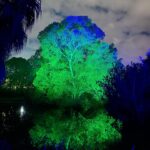 Emilie de Ravin Instagram - Fun night over the weekend at the beautiful @royalbotanicgardensvic for their final weekend of #lightscape We love these gardens so much, was super cool to see them all lit up (& with wonderful art installations too) at night! 🌈✨🫶🏼