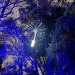 Emilie de Ravin Instagram - Fun night over the weekend at the beautiful @royalbotanicgardensvic for their final weekend of #lightscape We love these gardens so much, was super cool to see them all lit up (& with wonderful art installations too) at night! 🌈✨🫶🏼