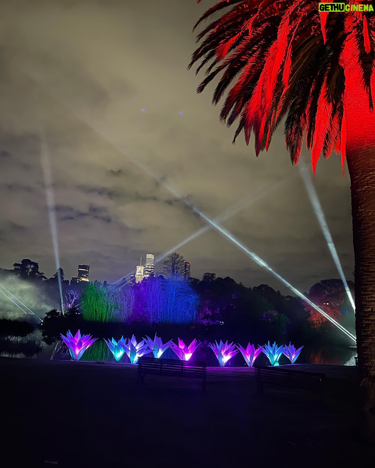 Emilie de Ravin Instagram - Fun night over the weekend at the beautiful @royalbotanicgardensvic for their final weekend of #lightscape We love these gardens so much, was super cool to see them all lit up (& with wonderful art installations too) at night! ๐โจ๐ซถ๐ผ