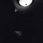 Emily Alyn Lind Instagram –