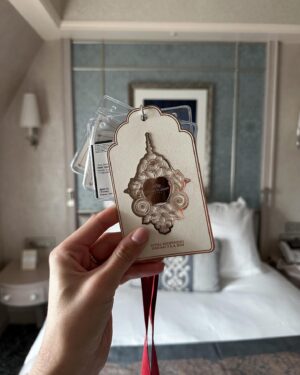 Emily Canham Instagram - Disney album 😌 the second Disney vlog has just gone live. I will genuinely treasure these memories for ever 🥹🏰🐭🫶🏼 

@disneylandparis - #disneylandhotel (AD-PR)