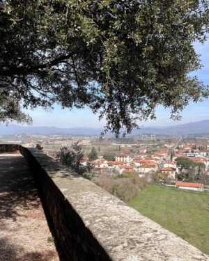 Emily Canham Instagram - 48 hours in Arezzo 🇮🇹 ((giggled a lot))

#italy #tuscany #europetravel