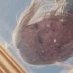 Emily Kinney Instagram - Big week ahead. Can’t wait to share my new album, SWIMTEAM with you.🏊‍♀️🌈💕💫