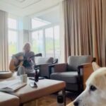 Emily Kinney Instagram – Best weekend with my fav peeps. Swipe to the end for a song. 🤗💕And get tickets for my upcoming SWIMTEAM album listening party, and shows in NYC and LA at the link in my bio.