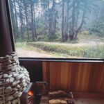 Emily Osment Instagram - Had the surprise pleasure of visiting @slowcoasthome this past weekend after a last minute weekend away in Santa Cruz with @dr.nate.dogg Thank you to my dear, sweet friend @nash2o for connecting us with marine biologist and author @wallacejnichols so we could take in his beautiful land which was once unbelievably scorched by a fire that took his family home and everything in it. Years later, newly green again, it lives a new life as an off grid digital detox retreat fully equipped with a wood fired hot tub, sauna and eight cozy Jupes. We drank mezcal deep inside a massive redwood hollowed out by forest fire, we zip lined across the river and we danced together in the wilderness like all wild and free humans should. Please check out J’s book Blue Mind, read about Slow Coast Home and find time to disconnect near a tree somewhere, anywhere…🌲🩵