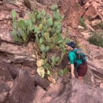 Emily Osment Instagram - In Sept 2023, I had the privilege of joining 23 complete strangers to travel 282 miles of the Colorado River through the Grand Canyon. We were an impressive group of environmentalists, humanitarians, artists and indigenous leaders from land based cultures and then me! (your local friendly neighborhood class clown) Endless and massive thanks to @tilliewaltonofficial and @nash2o for organizing our wild bunch all of whom walked away best friends and bursting with new goals/ideas of how to work together across our different sectors of knowledge. It’s impossible to truly comprehend this trip, to relay it to my friends and family or to fully encompass how filled up I feel after being so deeply connected to nature off grid in the most remote part of the US for 8 days. I can’t imagine a world without this natural wonder that brings life to so many and whose existence is constantly threatened. The Colorado River supports 40 million people, 30 tribal nations, 7 U.S. states and Mexico, and a $1.4 trillion annual economy. We must rethink how we use and manage this critical waterway. @AmericanRivers is an excellent resource for this work. Everyone should have the opportunity to visit this sacred place, I feel forever changed. Buckle in for many more posts about this adventure… Huge specific thank you to my very supportive fiancé who said “8 days no contact backpacking down a river with two dozen strangers? you should absolutely do that, yes.” thank you for letting me stay wild. and @dr.nate.dogg who submitted my name with love and let the rest unfold for itself. #8DaysOfWow #InfiniteWow #TilliesRiverTrip https://wildriverswithtillie.org/ https://www.grandcanyontrust.org/take-action https://savetheconfluence.com/