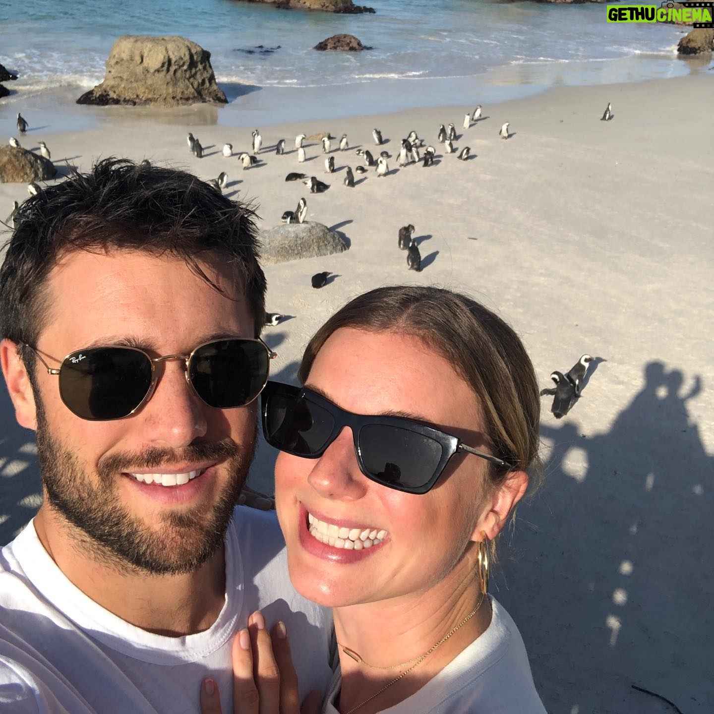Emily VanCamp - 171.8K Likes - We’re kind of obsessed with penguins so this was just delightful 🐧🐧🐧