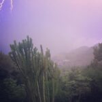Emily VanCamp Instagram - ⚡️⚡️⚡️