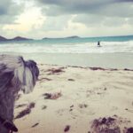 Emily VanCamp Instagram – Taking in the lovely sea breeze for the first time. I mean, I can’t even with this dog 😂 #FrankieB  #travellingpup