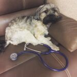 Emily VanCamp Instagram - Someone stole my prop 🤔 #setlife #FrankieB #littletheif