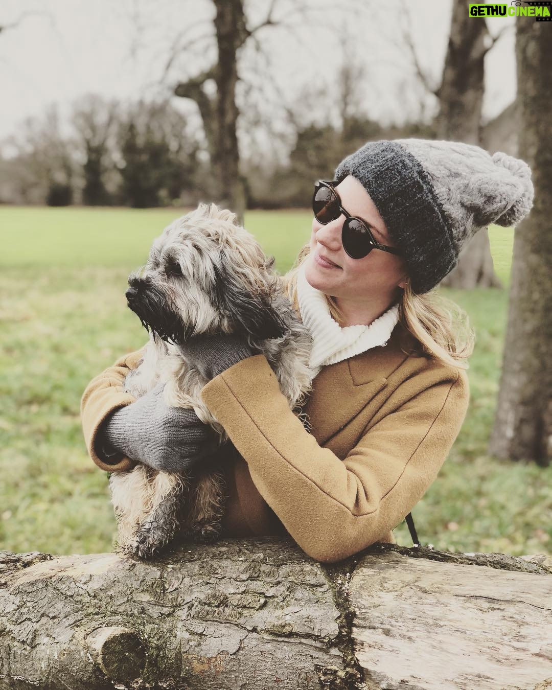 Emily VanCamp Instagram - Holiday stroll through London with my little sweet ❤️ #FrankieB