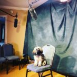 Emily VanCamp Instagram – My dog does interviews for me when I’m jet lagged. Just sayin..