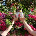 Emily VanCamp Instagram - You know I love me some @littlewest juice and I’m beyond excited to hear that Whole Foods in California, Arizona and Nevada will now be carrying it! Love that @wholefoods supports local, small businesses. It’s been a long journey for our friends at @littlewest and we couldn’t be happier for them 💞 If you don’t live in those states- you can order online. They ship nationally! Not an ad- just a very proud friend and a huge lover of this juice. Stay healthy everyone 🌿🌿🌿