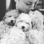 Emily VanCamp Instagram - My scene partners for the week. I’ll take them all please. Thanks. ❤️