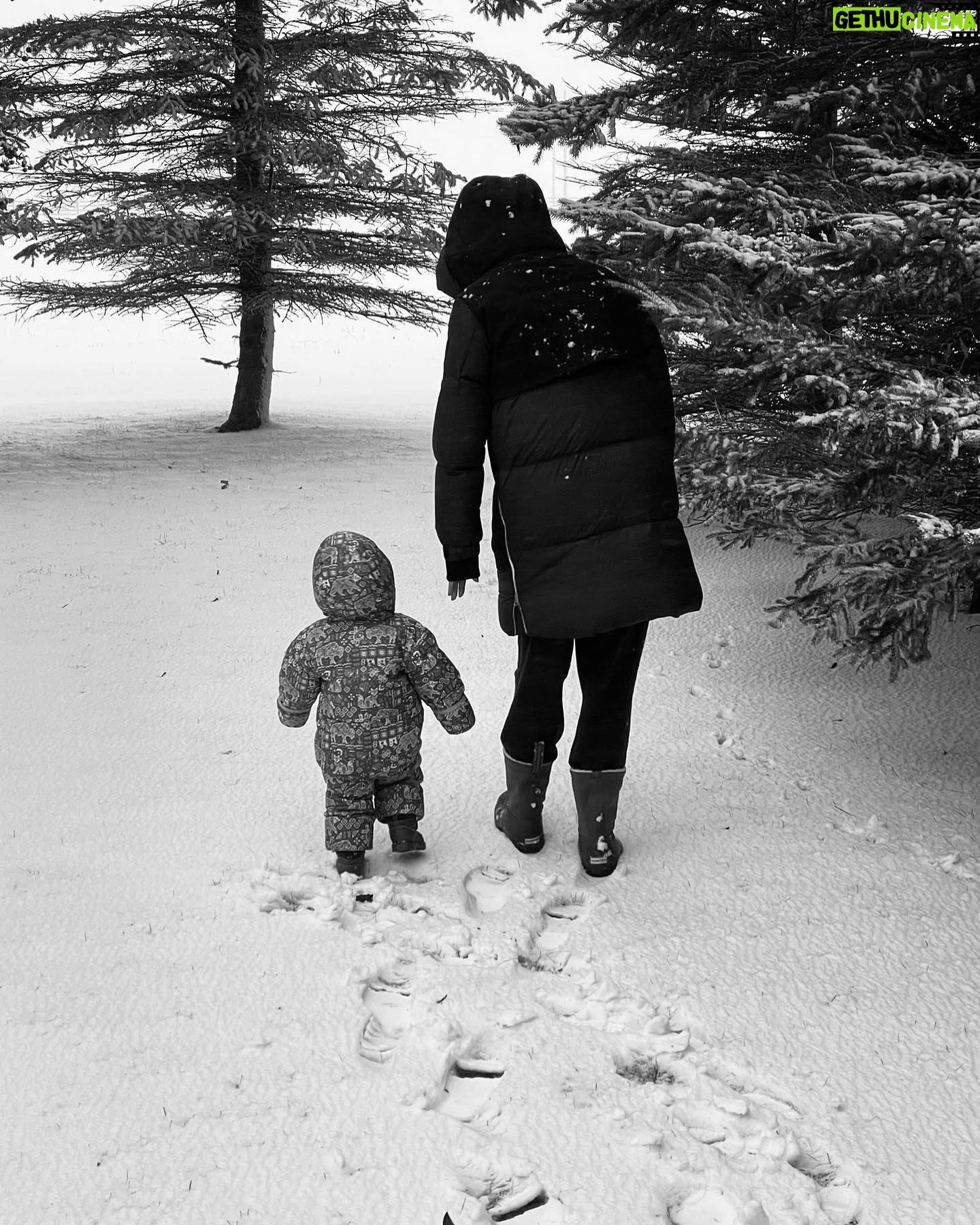 Emily VanCamp - 130.5K Likes - Snow storm walk with my little adventurer. Life is good 🤍