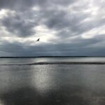 Emily VanCamp Instagram – The calm before the storm 🌊 #nofilter