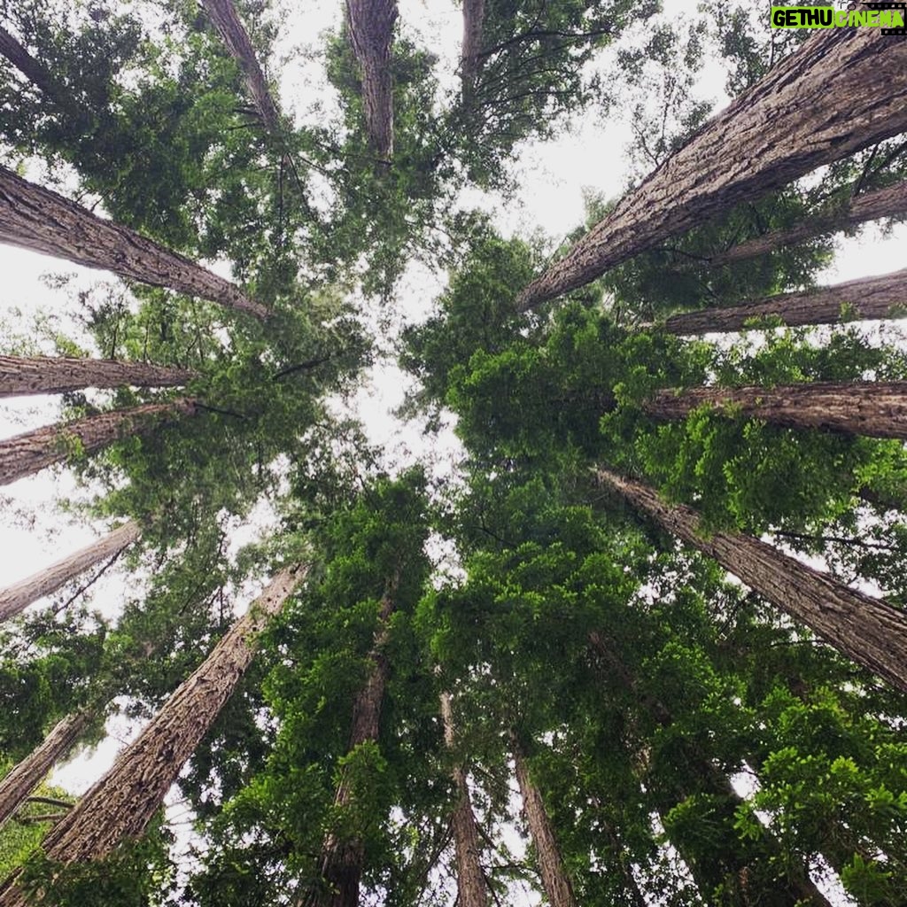 Emily VanCamp - 128.2K Likes - Recharged and feeling grateful 🌿 You never cease to amaze us Big Sur.. until next time ❤️❤️❤️