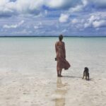 Emily VanCamp Instagram – Going places ✨