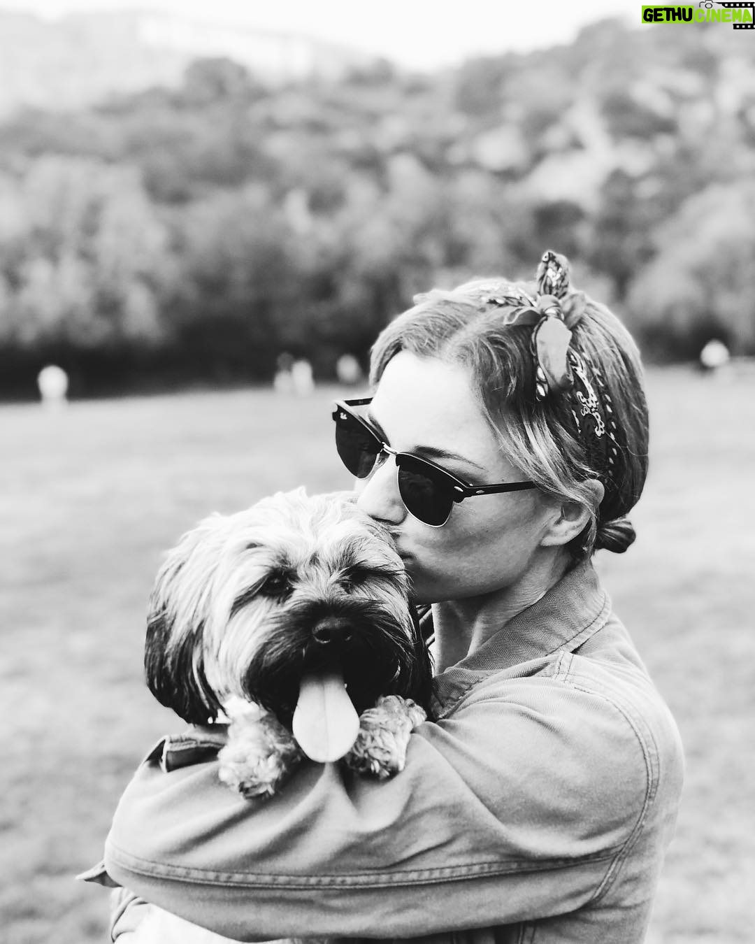 Emily VanCamp Instagram - We rescued this sweet girl when she was almost three but she’s still a puppy to us! Happy #nationalpuppyday Grateful for this little mutt everyday ❤️❤️❤️#FrankieB #rescuedog #adoptdontshop