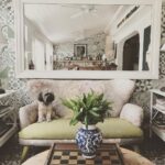Emily VanCamp Instagram – Lady of the house 🛋