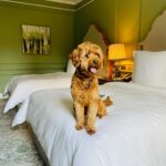 Emma Bunton Instagram - We are in the midst of GCSE revision for my eldest and we needed a night away. This was a dream stay @fshampshire everything we wanted and more. #familytime #bubba