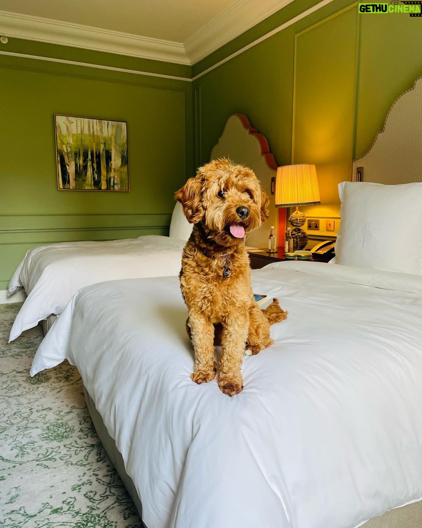 Emma Bunton Instagram - We are in the midst of GCSE revision for my eldest and we needed a night away. This was a dream stay @fshampshire everything we wanted and more. #familytime #bubba