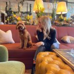 Emma Bunton Instagram – We are in the midst of GCSE revision for my eldest and we needed a night away. 
This was a dream stay @fshampshire everything we wanted and more. #familytime #bubba