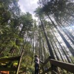Emma Slater Instagram – Quite literally the best day on tour ever. Vancouver wow, just wow 🙌🏻🌲🌿🌳 @brittbenae @ryleearnold1 @alanbersten swipe to see the videos