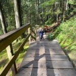 Emma Slater Instagram – Quite literally the best day on tour ever. Vancouver wow, just wow 🙌🏻🌲🌿🌳 @brittbenae @ryleearnold1 @alanbersten swipe to see the videos