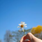 Emma Wu Instagram - 小米這次跟徠卡攜手打造的… 「Xiaomi 14 Ultra」新一代行動光學鏡頭💫 只要打開『大師人像』模式 就可以輕而一舉拍出時尚大片 還有『街拍』模式 讓我能在0.7秒內即時抓拍… 捕捉WULALA 呆萌的瞬間😻😻😻 快來「Xiaomi 尋光而來」光影藝術展 就在華山1914文化創意園區（到3/24喔 快去體驗快去玩耍🙌🏼 #每一鏡_皆傳奇 #Xiaomi_14_Ultra #第五張開始都是用14Ultra #沒有騙你要相信我 #最後一張有驚喜🤪 #覺得很厲害請給💫💫💫