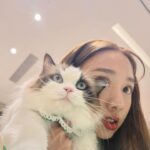 Emma Wu Instagram - 小米這次跟徠卡攜手打造的… 「Xiaomi 14 Ultra」新一代行動光學鏡頭💫 只要打開『大師人像』模式 就可以輕而一舉拍出時尚大片 還有『街拍』模式 讓我能在0.7秒內即時抓拍… 捕捉WULALA 呆萌的瞬間😻😻😻 快來「Xiaomi 尋光而來」光影藝術展 就在華山1914文化創意園區（到3/24喔 快去體驗快去玩耍🙌🏼 #每一鏡_皆傳奇 #Xiaomi_14_Ultra #第五張開始都是用14Ultra #沒有騙你要相信我 #最後一張有驚喜🤪 #覺得很厲害請給💫💫💫