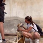 Emmanuelle Cureau Instagram - De près ou de loin mon cœur sera toujours avec toi ma Mona 🐕🤍🇲🇦 Merci à @moroccoanimalaid / @nos_amis_pour_la_vie / @vanesa_sc pour leur aide 🙏🏽